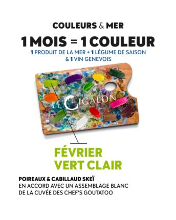 Une année culinaire guidée par la couleur
