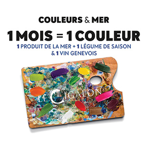 Couleurs & mer